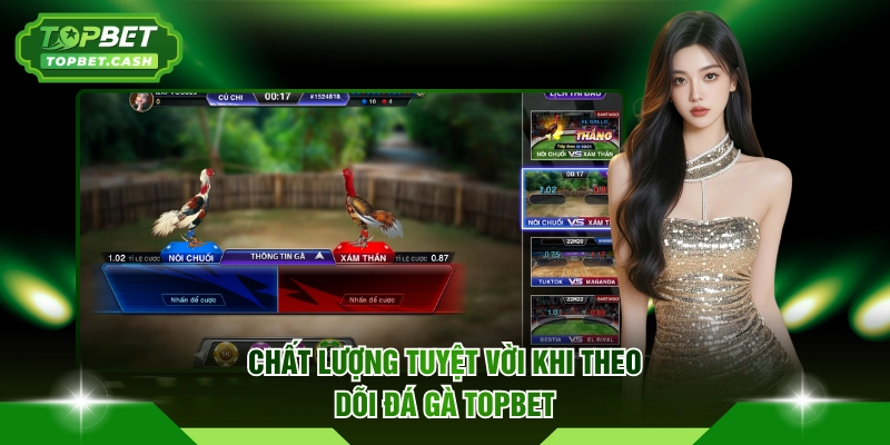 Chất lượng tuyệt vời khi theo dõi đá gà TOPBET